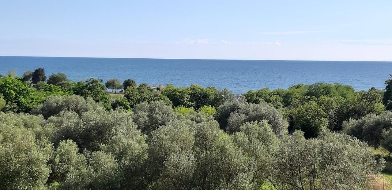 Apartment Istria Zambratija  Luaran gambar